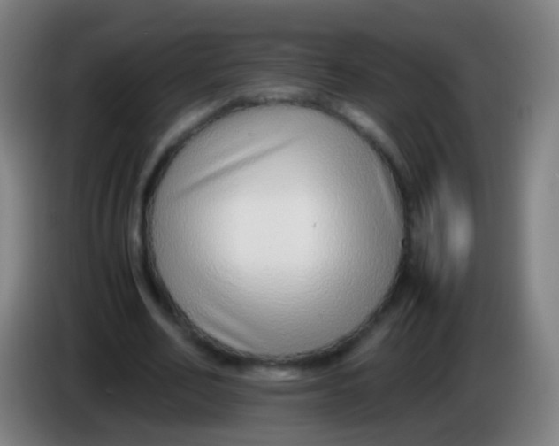 X0000085310582200703302024