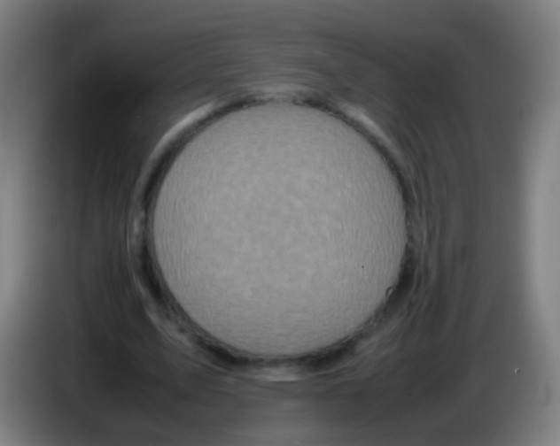 X0000085310583200703302024