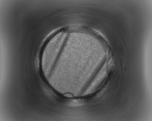 X0000085310584200703302024