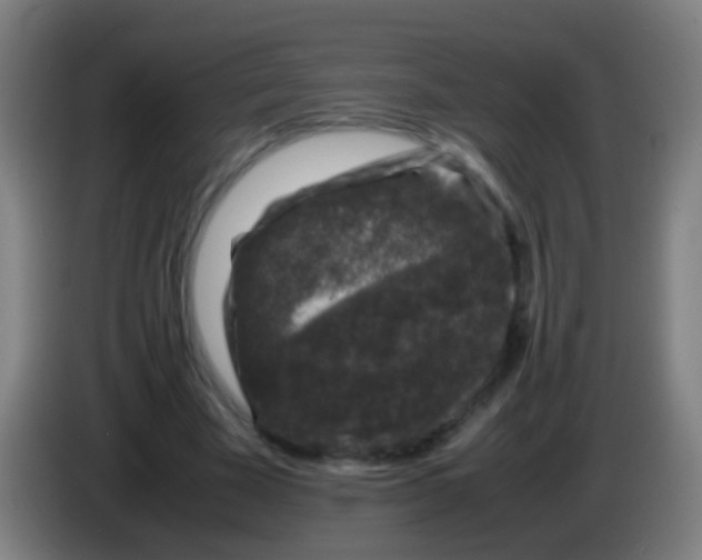 X0000085310585200703302024