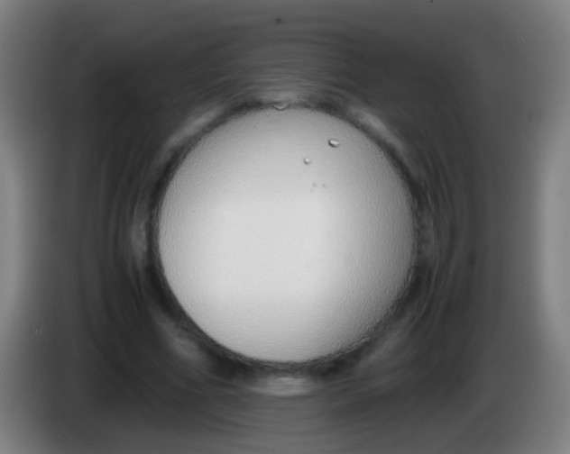 X0000085310586200703302024