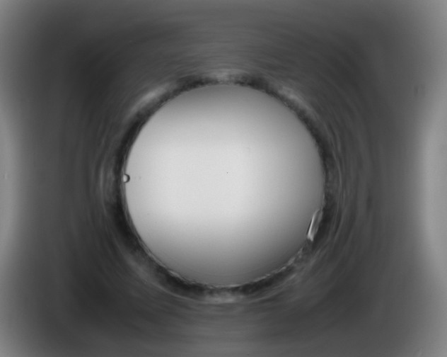 X0000085310587200703302024