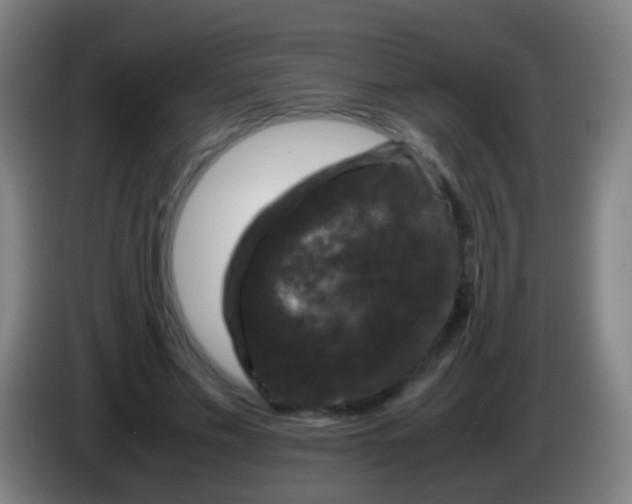 X0000085310589200703302024