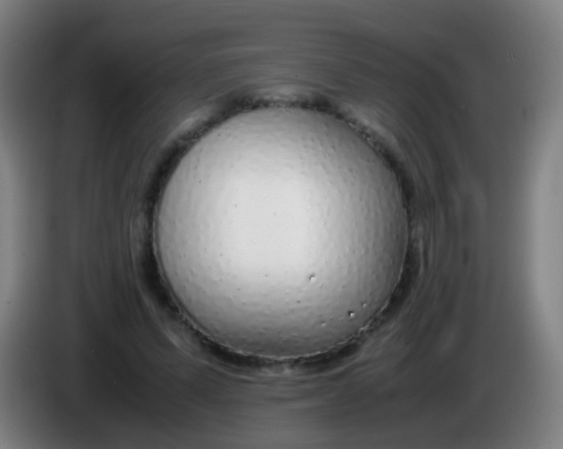 X0000085310591200703302024