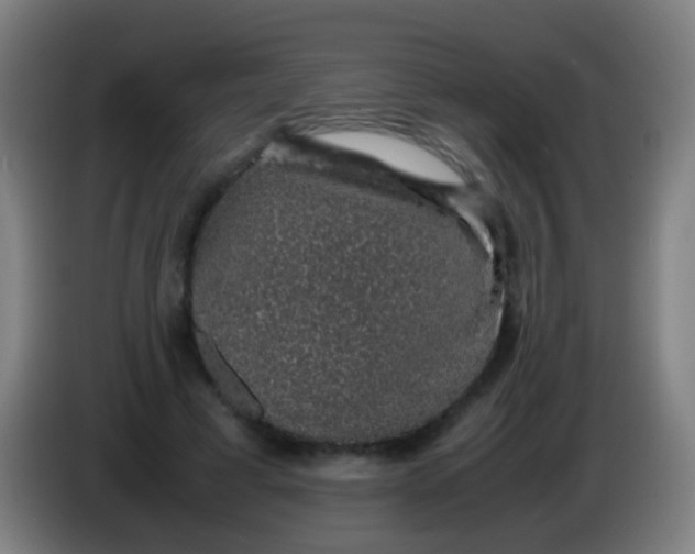 X0000085310593200703302024