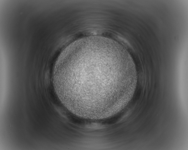 X0000085310594200703302024