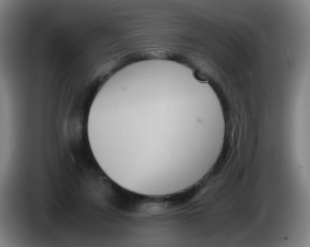 X0000085310595200703302024