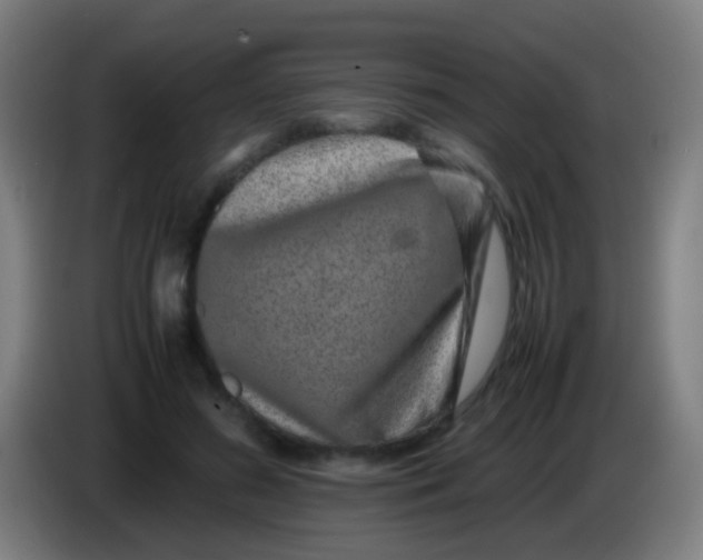 X0000085310596200703302024