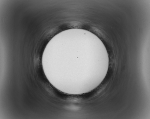 X0000085310597200703302024