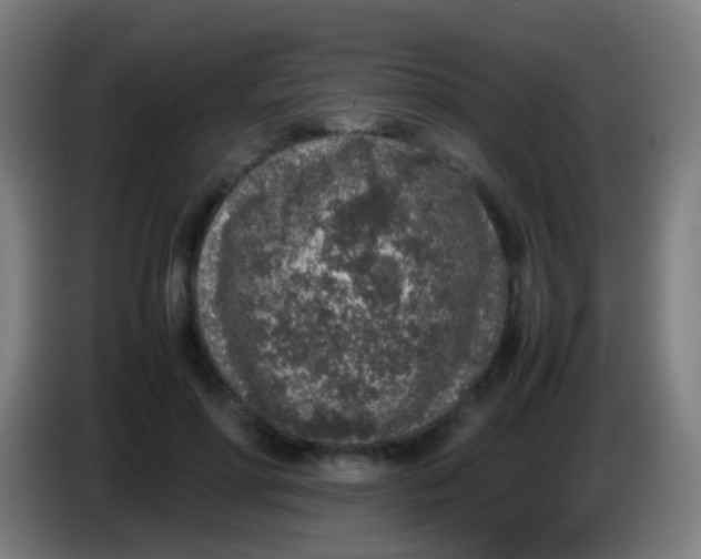 X0000085310598200703302024