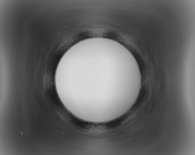 X0000085310599200703302024