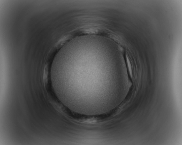 X0000085310600200703302024