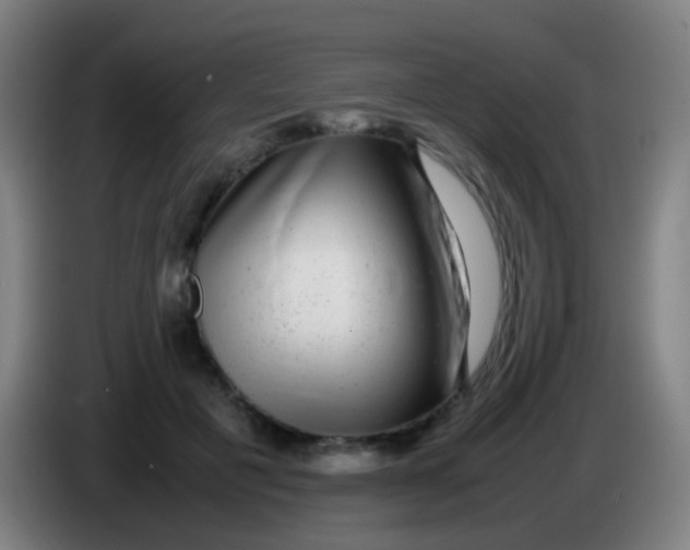 X0000085310601200703302024