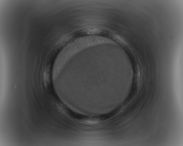 X0000085310604200703302024