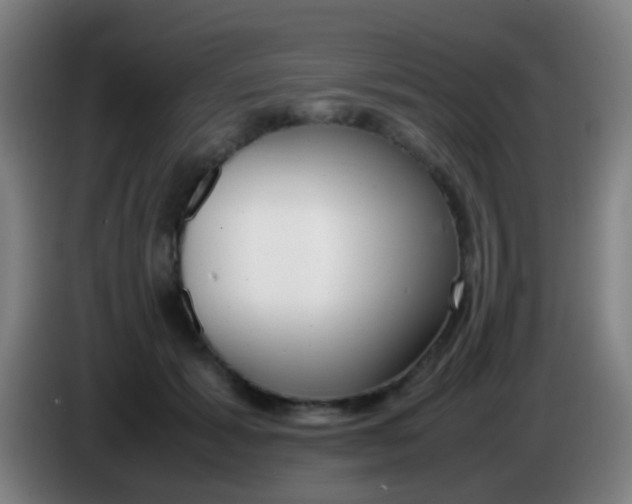 X0000085310605200703302024