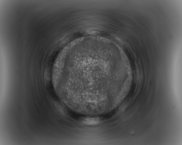 X0000085310606200703302024