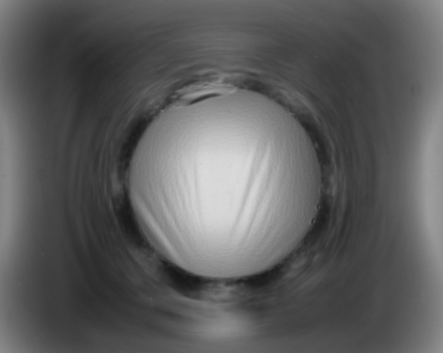 X0000085310607200703302024