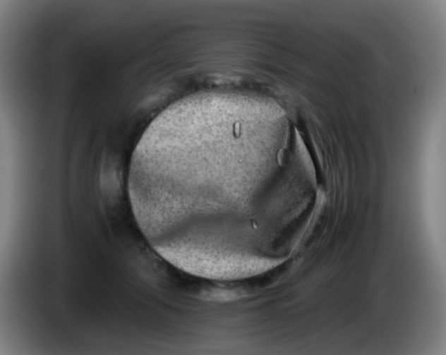 X0000085310608200703302024