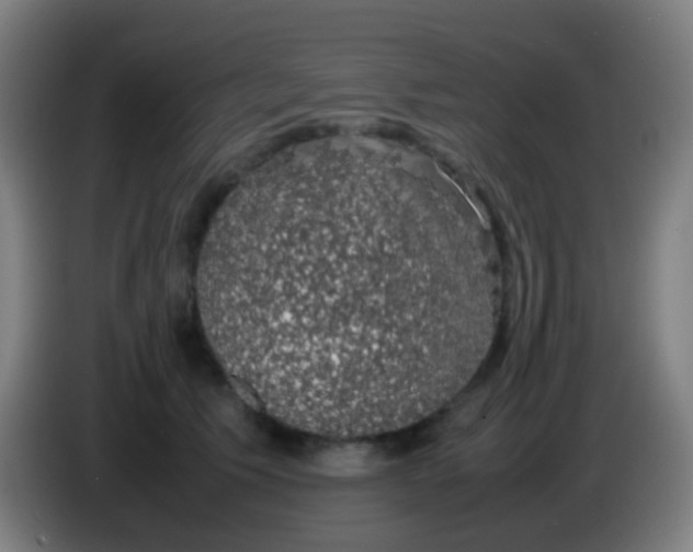 X0000085310609200703302024