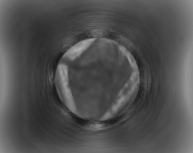 X0000085310610200703302024