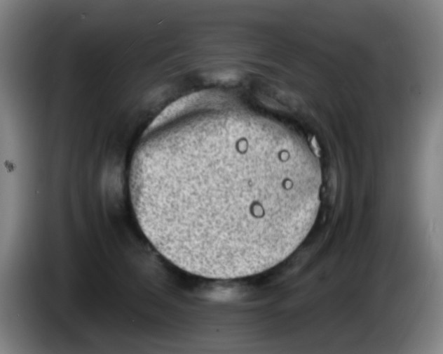 X0000085310612200703302024