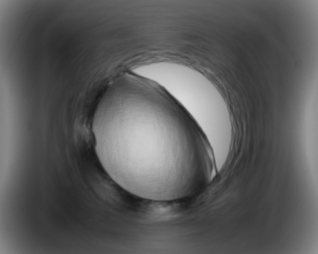 X0000085310613200703302024