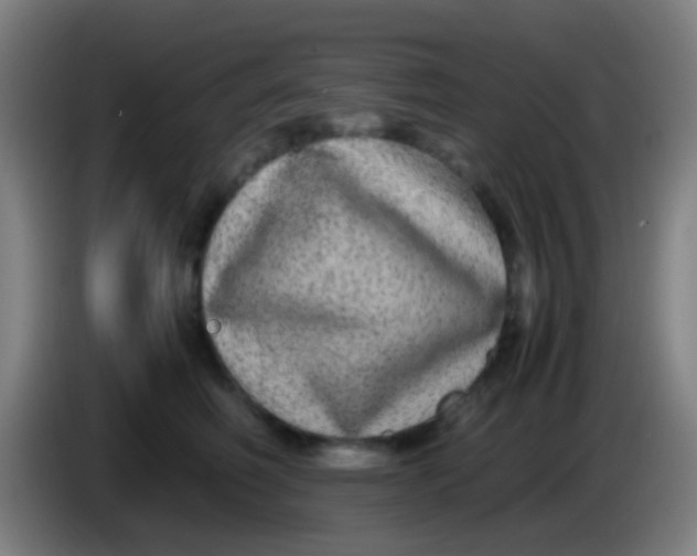 X0000085310614200703302024