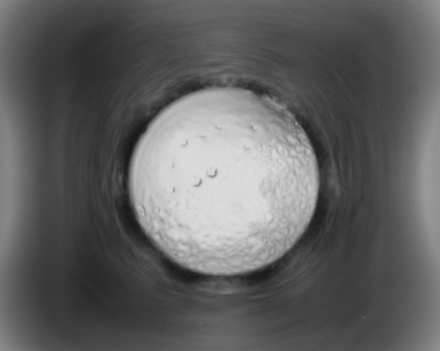 X0000085310615200703302024