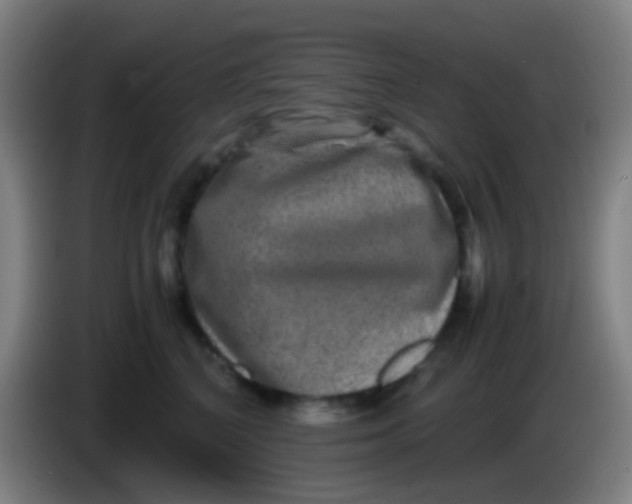 X0000085310616200703302024