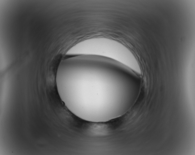 X0000085310617200703302024