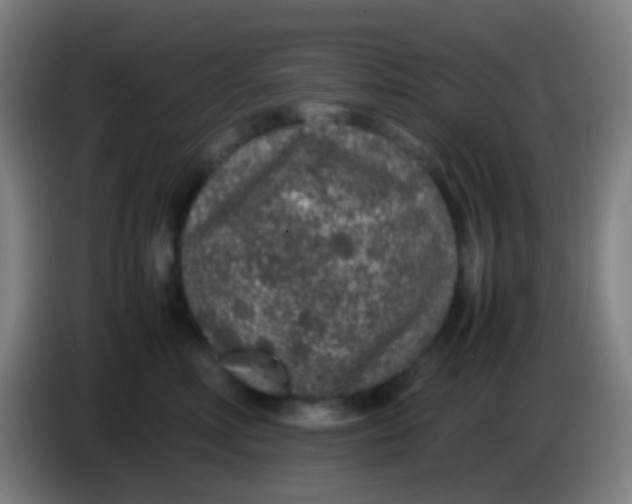 X0000085310618200703302024