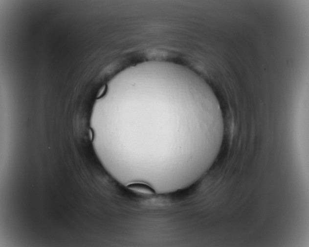 X0000085310619200703302024