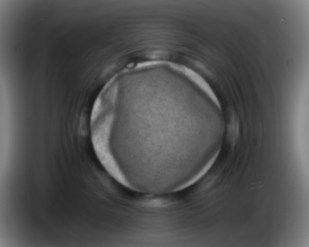 X0000085310620200703302024