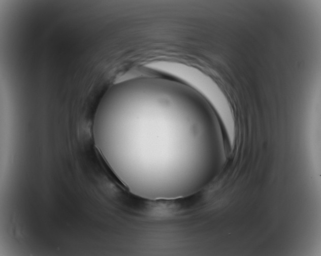 X0000085310621200703302024