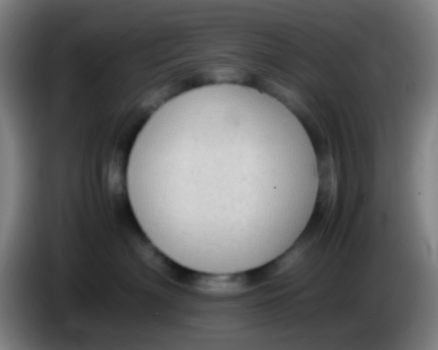 X0000085310622200703302024