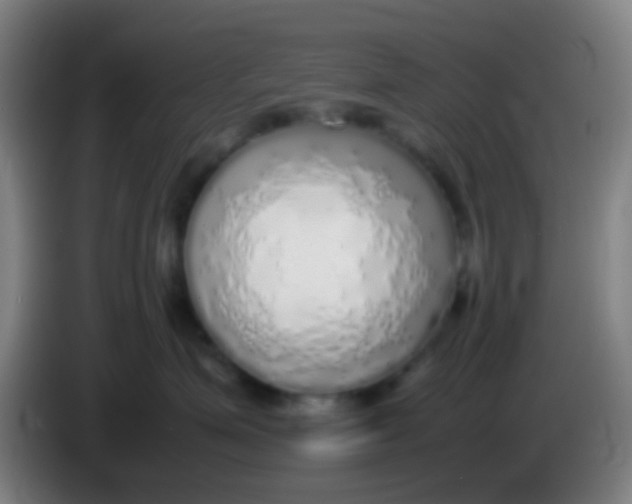 X0000085310623200703302024