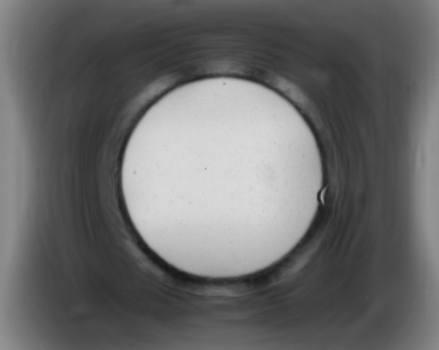 X0000085310625200703302023