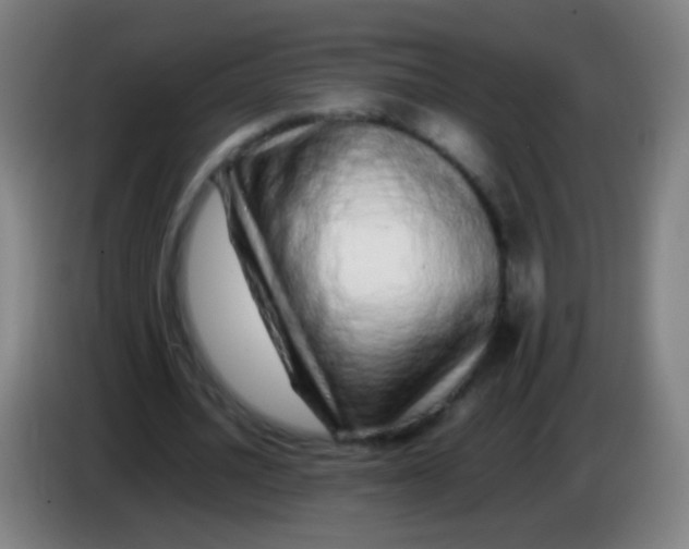 X0000085310628200703302023