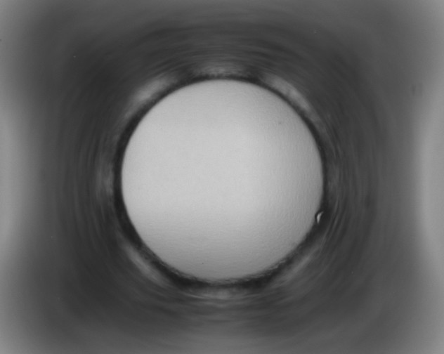 X0000085310629200703302023