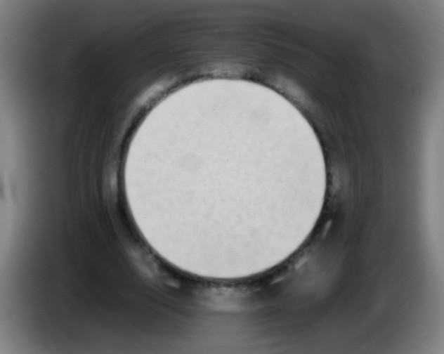 X0000085310632200703302023