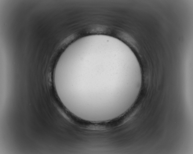 X0000085310633200703302023