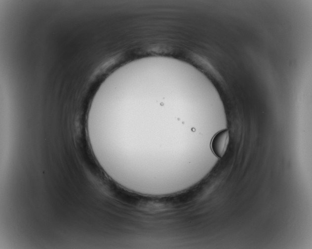 X0000085310635200703302023