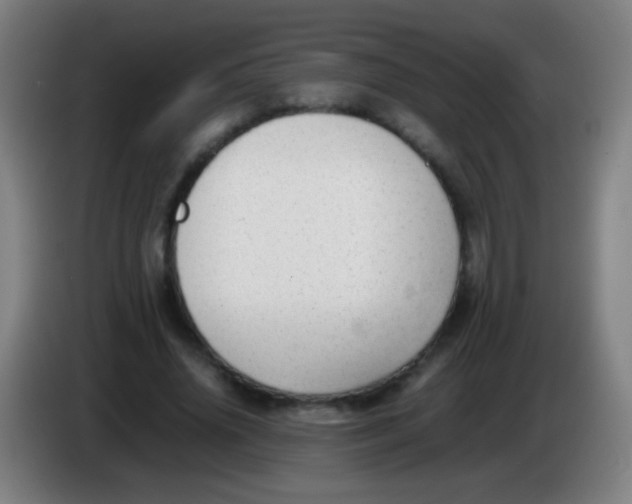 X0000085310636200703302023