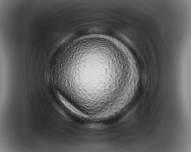 X0000085310637200703302023