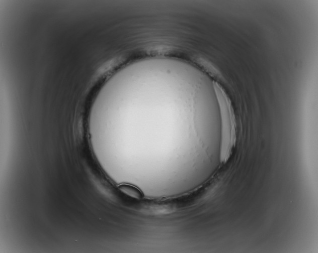 X0000085310638200703302023