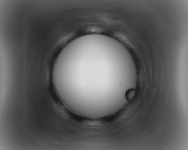 X0000085310639200703302023