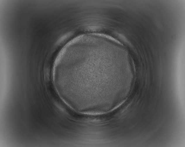 X0000085310640200703302023