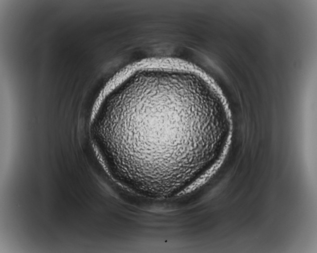 X0000085310641200703302023