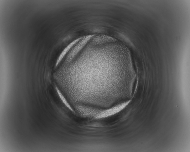 X0000085310643200703302023