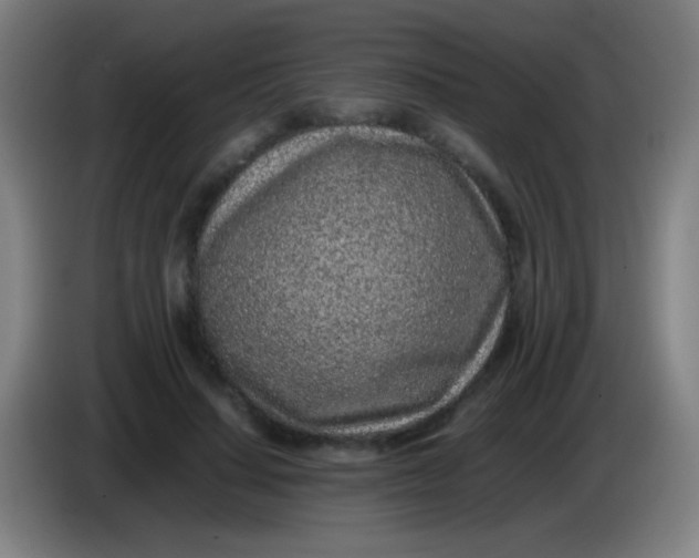 X0000085310644200703302023